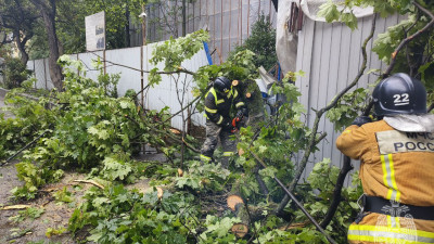 Петербургские спасатели 19 раз выезжали устранять последствия разгула стихии