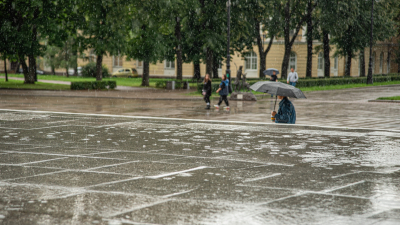Август в Петербурге начнется с дождей и сильного ветра