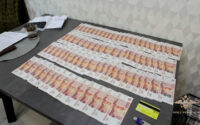 62 иностранца и одна подозреваемая: в Ленобласти раскрыли схему по организации незаконной миграции
