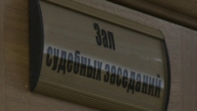 Жителя Петербурга оштрафовали за незаконную рубку леса в Курортном районе