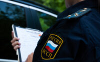Петербурженке возместили расходы на ремонт автомобиля после падения дерева