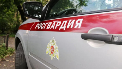 В Яблоневом саду собачник атаковал собачника: ему не понравилось, что его пса понюхали